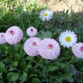 f0e49bb2b5fe78efa0380dd648023d50