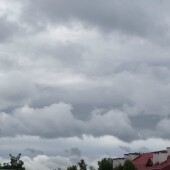 f240899f7c5669cb0e32558556fa74c5