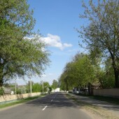 f323bbb3ca0eb9bc52e5e9c7986c69fe