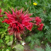 f43aa8fea30a2b15f4342e461d659cf2