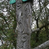 f496097e6aefbc2ce45e136c7331f1bf