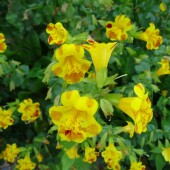 f82aa7afd6318259f4a2c4e96727b079