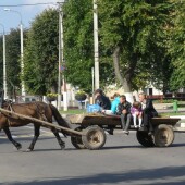 f960538147685a5438d975769248d179