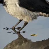 fd3883a2111ebc59d9c7b8a150312b1e