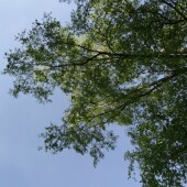 fd60320c22ec0392548bd1d754838eb3