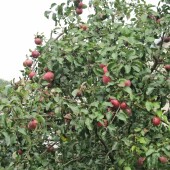 03e42ce1da574675bd0fa4e951d1e1a5