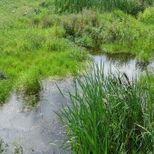 053ce750cb90951b9864e9bd4cc2eeeb