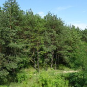 078e50efae6029cac3094a085b511fa6