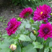 07b4c91000e76ae814ccc0477fb0cfa0