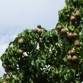 08349444dbc7864a506f5d0ec01687e4