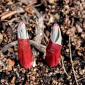 0d92c3551e789bc2690929850dc93a47