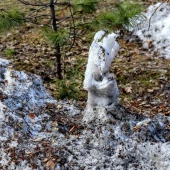 0f0e23a92d0b87c32684b66da164db59