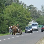 0f2d2fafd07b4470e1aefce3aec0c522