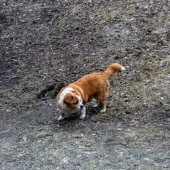 0f3935e7b7d90343d873b94458628fa2