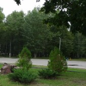 13c592adcaa0161cc988a98a9b6281bd