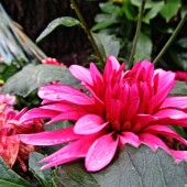 13dabb9d7d614852ff8c8878534429b6