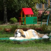 16212331da0b41841341e295d1061c64