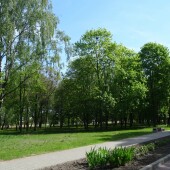 165a27860e4a96c88119c9738d36c142