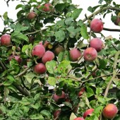 18497efbec0b129ccedbe45bd290bdc3