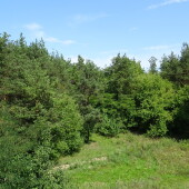 18adabb0547c9d3bb3aa4b695b0ee338