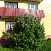 1a5f64bb9bad82cd38a866a7f79f0277