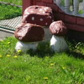 1cbc3a3085aa8a7b3c12c088e49ad6b8