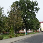 1d0842e812f0ebf5470ed4a64a0ddab1