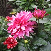 1e0b851988a4290a781d3c88911b7117