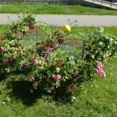 20c6b2d52376361437a41bf602f08358