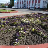 238ff7d88397cc88de750e809af5375e