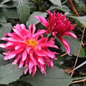 2ad6358f7f75bde967625a7f757cca66