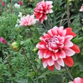 32e7b51e614ee64e1c37dfa917d8952f