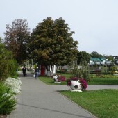 3700b0bac963e8a3bfd173b0d60f8177