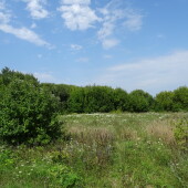 38049a3f8f622c5a4a189aadd6985dad