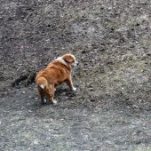 4235bce47d3d76ea430b6bc08562ed4b