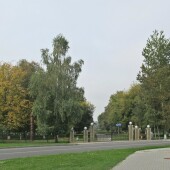 4e813bee62eaa0dbdff26f2eda1cde62