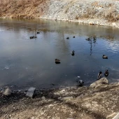 4f8e862b66714114abae51fd077c895e