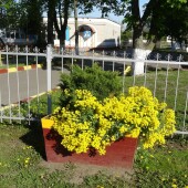 51cbadb6b8ec02ebaa839e3c4c2b3da0