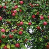 582b3f25952cf719d87e8287af8e53a7