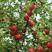 58dbc6c5192a05759741ad7b9ee052c8