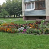 599bf14ed7c38d73c2d08174141105bd