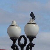 5b6af955bc14a4d052265ce6625e4b3f