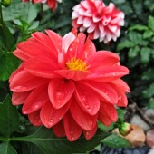 5bc542da239dfe94a850cf94f848a39a