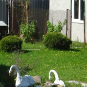 605444e76fd5c753f7ac472b87b8ffb0