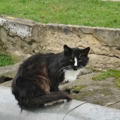 60584a6da859819c606920f901556003