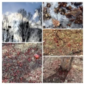 60a885f25467ab5260d04753a90d588a