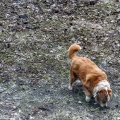 63f3a0097bf79af8eed89a1cdc4bdcb1