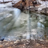 650b3f28a13c5a8743229544e26d6b1b