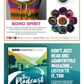 65eb1fe17f61753d214d2d5c0944313a