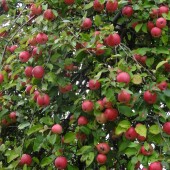 6dee9b7c9ab154e90dfa2445a81b2560